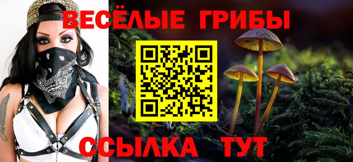 Богородицк  Псилоцибиновые грибы прущие грибы  Вход с VPN 
